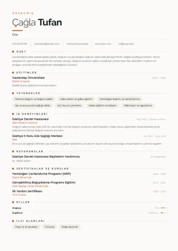 Ebe Cv Örnekleri cv indir